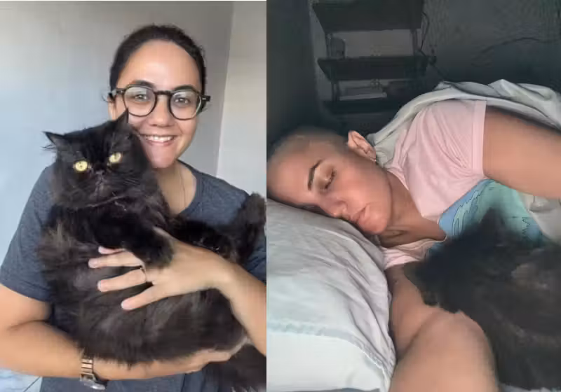 A gatinha Clarisse ajudou a jornalista Elayne a identificar e tratar um câncer de mama agressivo. Ela amassou pãozinho bem no lugar do tumor. - Foto: reprodução redes sociais
