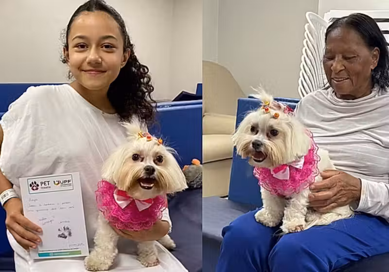 A cachorrinha Amora atua como terapeuta e acompanha pacientes em tratamento contra o câncer. Lindo - Foto: Pet Terapia