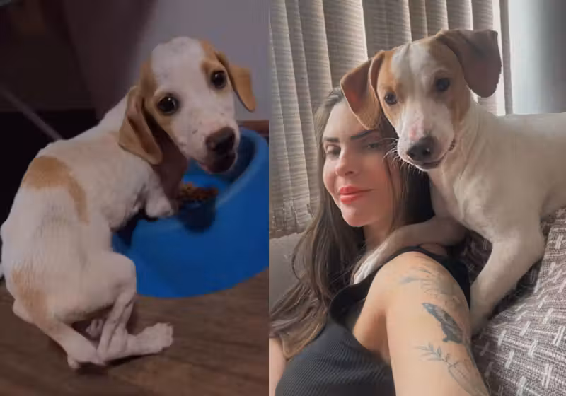 Aryane, a mulher que adotou o cachorro magrinho, largado nas ruas de Brasília, transformou o Tunico em outro animal. - Foto: reprodução Instagram