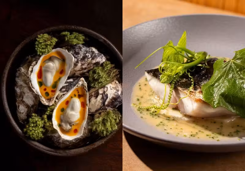 O Origem, de Salvador (esq), e o Kotori, de São Paulo, são dois brasileiros no topo do ranking dos 100 melhores restaurantes da América Latina. - Fotos: reprodução/Instagram