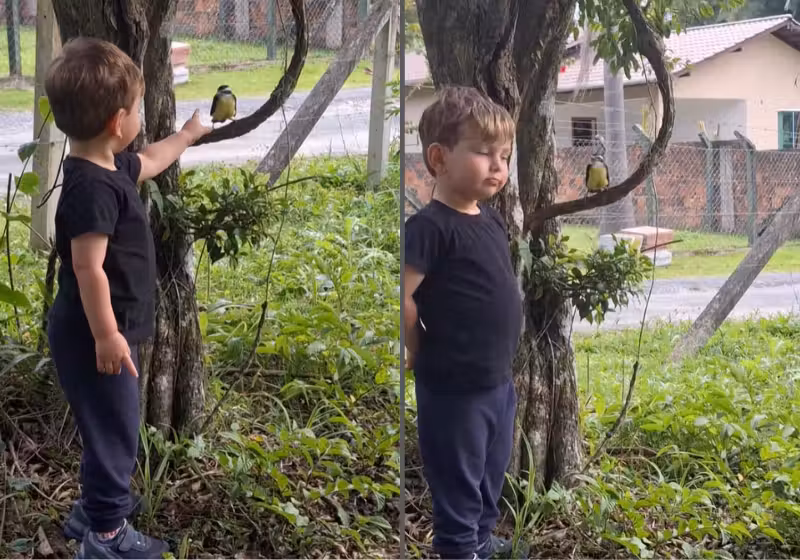 Um menino viralizou pela amizade que fez com um bem-te-vi. O vídeo foi publicado pela mãe dele - Foto: reprodução Instagram