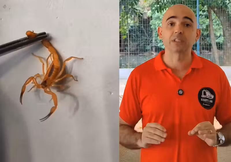 O bombeiro especializado Roberto Tosta, de Goiás, diz que 90% das pessoas agem errado em caso de picada de escorpião. E ensina 5 dicas para salvar vidas - Fotos: reprodução/Instagram