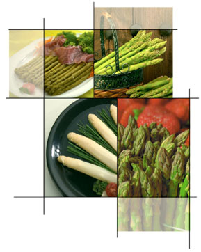 aspargo_1
