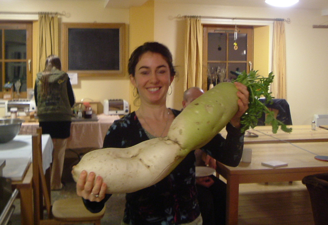 o_maior_nabo_do_mundo1