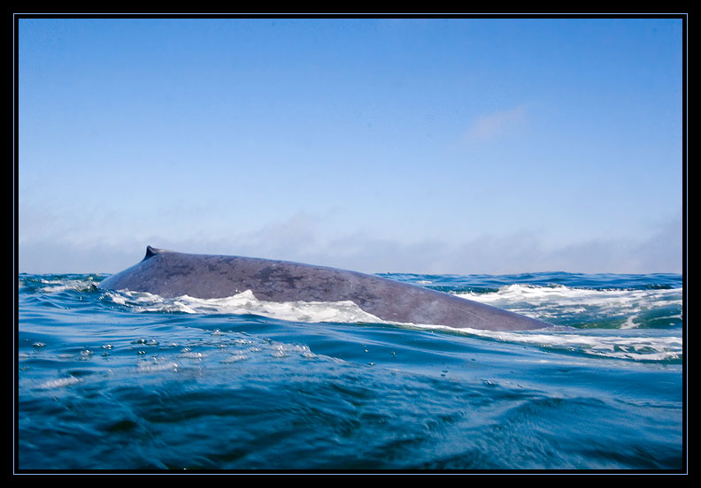 128618367.lExmPruu.IMG_9738