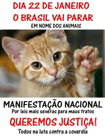 animais
