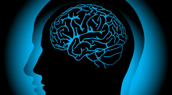 cerebro_alzheimer cerebro_alzheimer