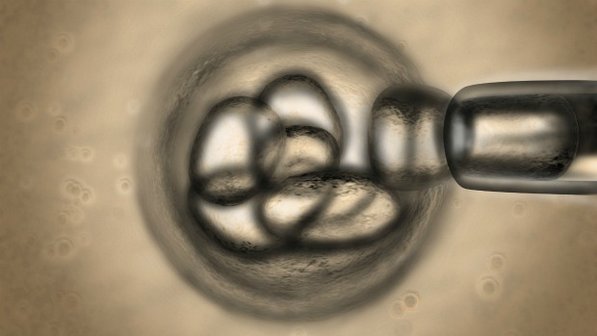 celula-tronco-pele_coracao