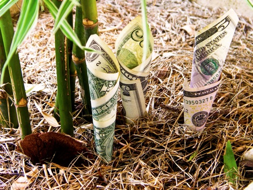 dinheiro_brota|brotando_dinheiro