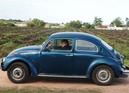 mujica-fusca