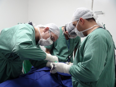 hospital_veterinario_opera|hospital_veterinario|max_cao