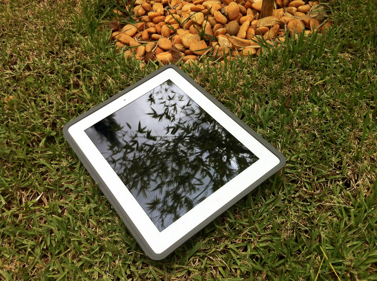 ipad_na_grama_foto|Caio_ipad|paulo_de_tarso_ipad