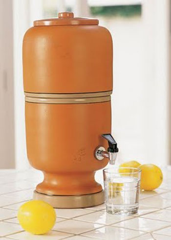 foto: reprodução|ninho_corujas