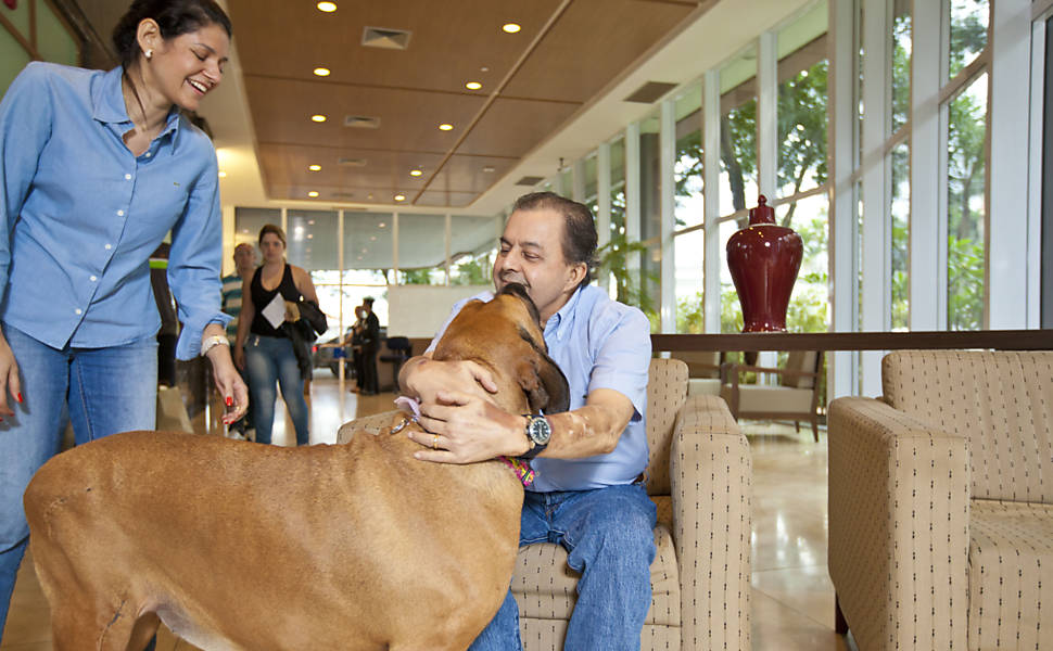animais_einstein