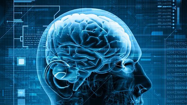 cerebro-20130508-size-598