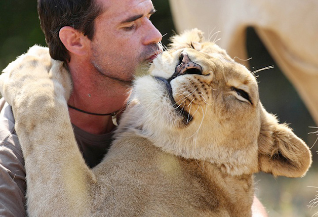 LionWhisperer2