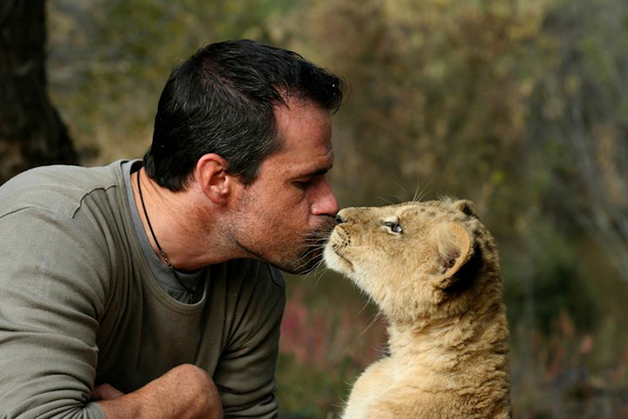 LionWhisperer51
