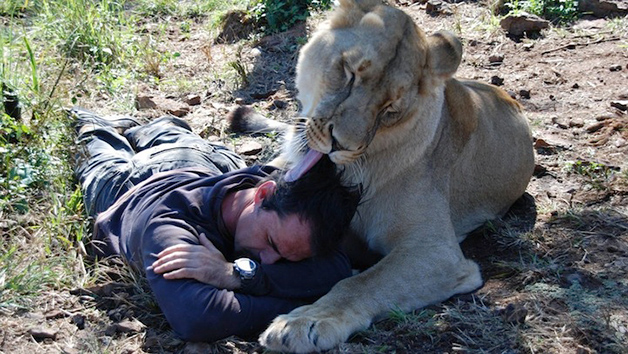 LionWhisperer7