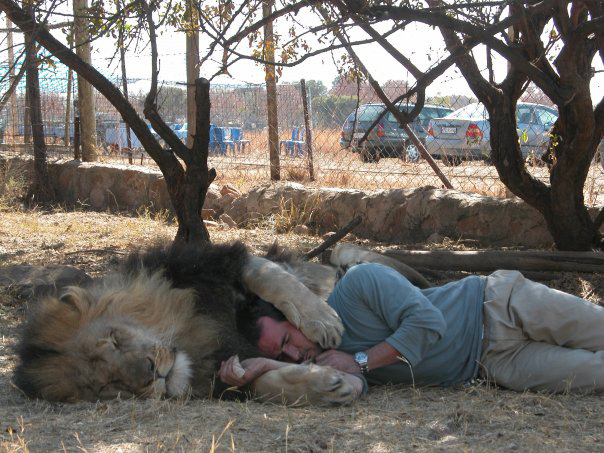 LionWhisperer8