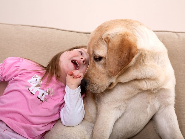 Foto: divulgação|caoterapia2