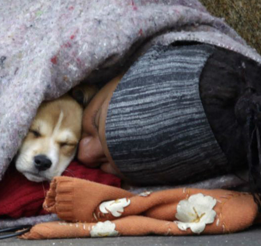 morador_de_rua_frio|face_paula_caes|face_paula