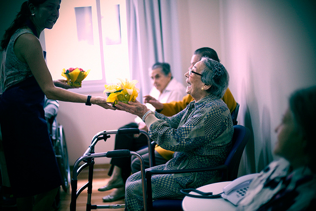 FlorGentil1|FlorGentil2|FlorGentil3