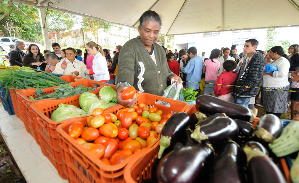 LixoqueVale1|LixoqueVale10|LixoqueVale2