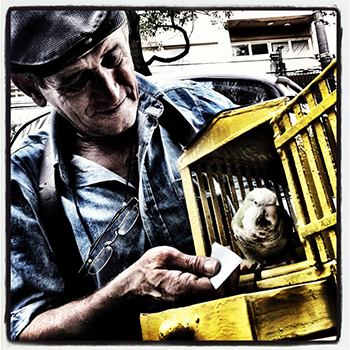 foto1|foto2|foto3|foto_4|foto5|foto6|foto_7|foto_9|foto7|foto8|foto_10|foto_11|foto_12