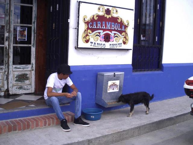 restaurante-cachorro