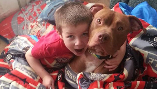 tatertot|tatertot-_abc