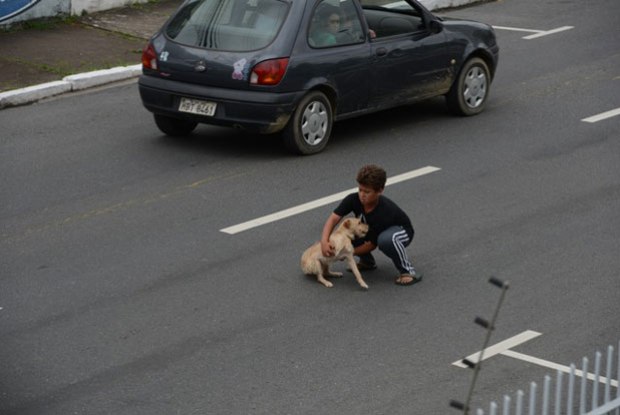 menino_salva_cachorro