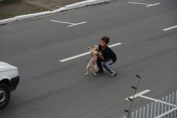 menino_salva_cachorro2|menino_salva_cachorro