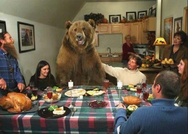 bears5|bears1|bears2|bears3|bears4|bears6|bears7