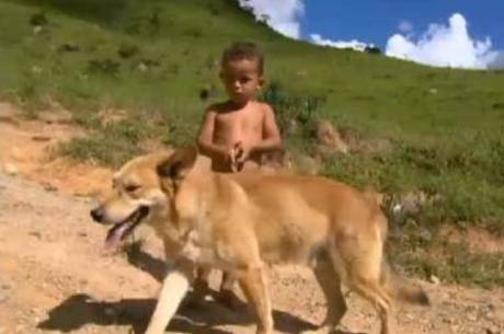 cachorro_salva_menino