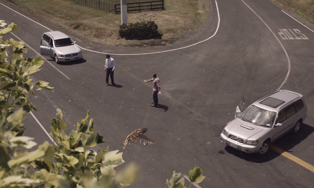 campanha_transito1|campanha_transito2