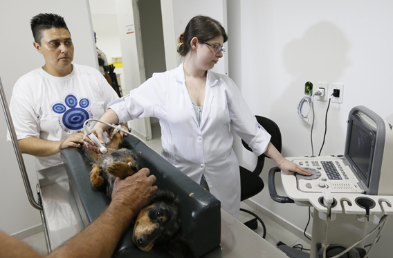 hosp_veterinario2_a