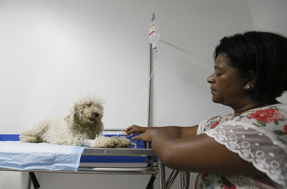 hosp_veterinario2_b|hosp_veterinario2_a|hosp_veterinario2