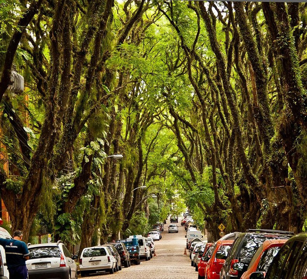 rua_mais_bonita|rua_mais_bonita2|rua_mais_bonita_3