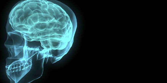 cerebro_rejuvenesce