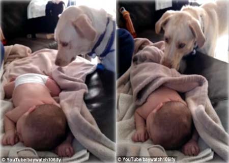 Foto: Youtube/ BayWatch106ify