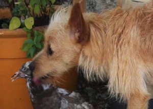 Foto: Catarina Franco/SNB