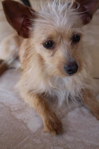 Foto: Catarina Franco/SNB