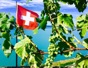 11828721_439182209602475_648401999170368326_n