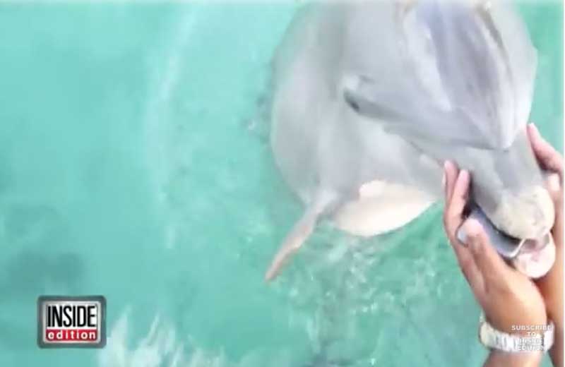 Foto: reprodução/Inside