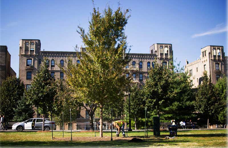 Foto: Credit Hilary Swift/NYTimes