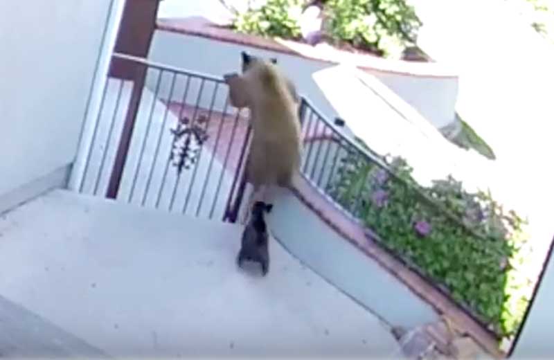 Foto: reprodução/Youtube