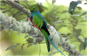 costa-rica-zoo-close-2