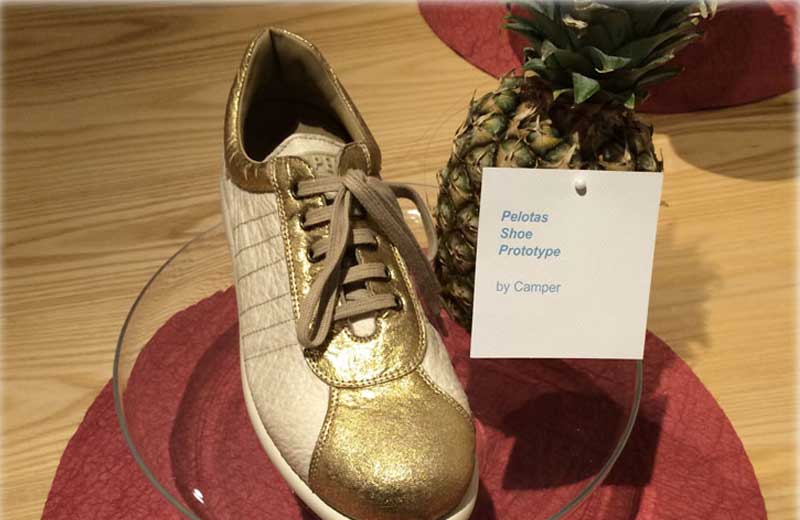 Fotos: divulgação|