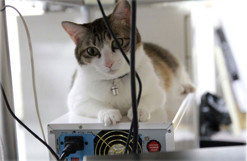 Fotos: reprodução/MapaA|