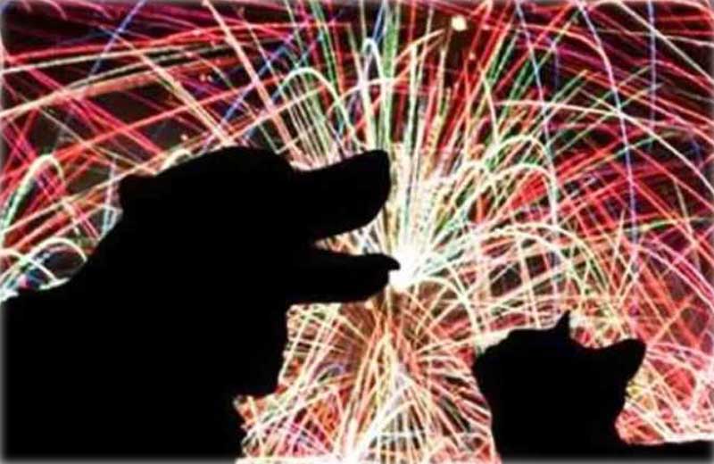 Foto: TheGreenestPost